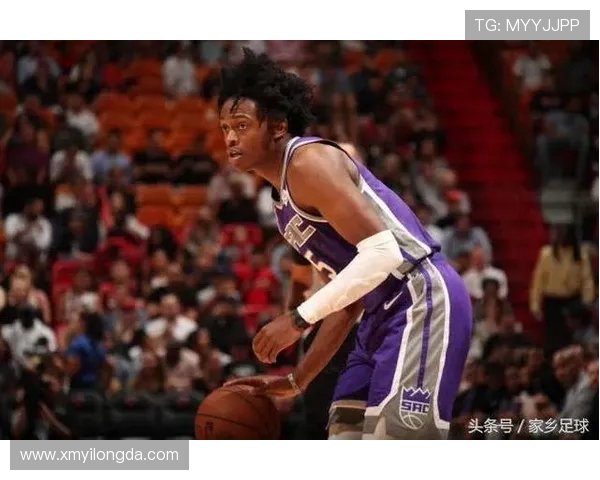 2015-2016赛季火箭队季后赛表现分析 2015-2016赛季火箭队季后赛表现分析