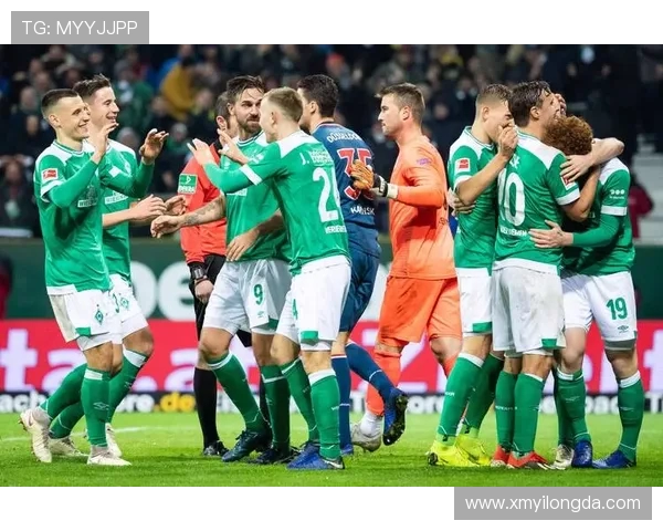 2025年德甲各大球队主场球场全景图解与容量比较 2025年德甲各大球队主场球场全景图解与容量比较